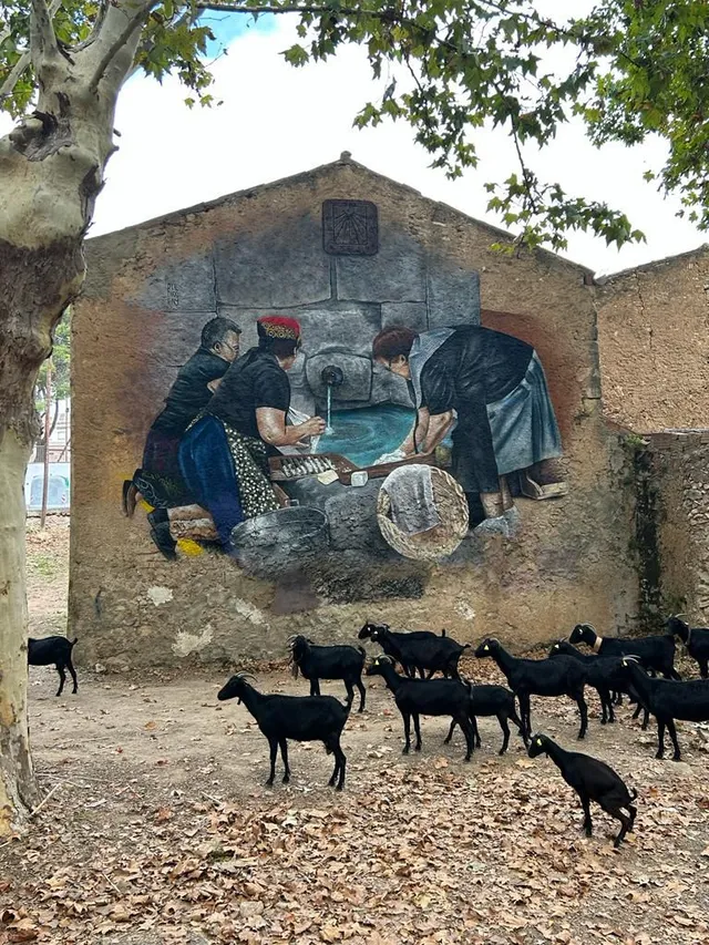 Galeria de la ruta — imatge 17